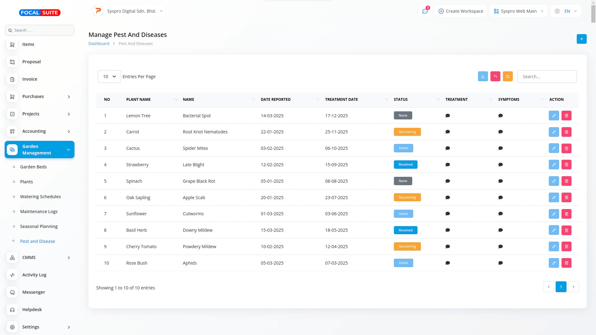 Organic Vegetable Box